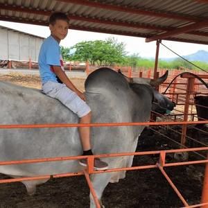 Meet your Posher, Sanchez